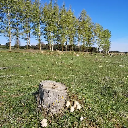 L' Abilleiru Rural * Santibanez de Valdeiglesias