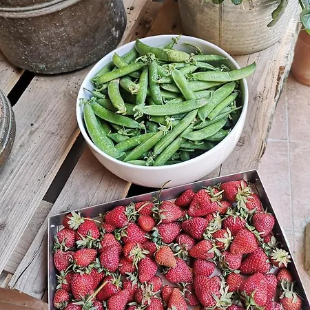 L' Abilleiru Rural Hostel