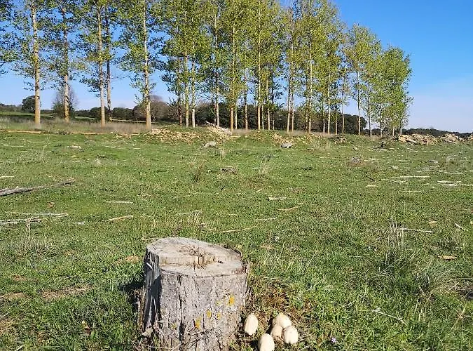 L' Abilleiru Rural * Santibanez de Valdeiglesias